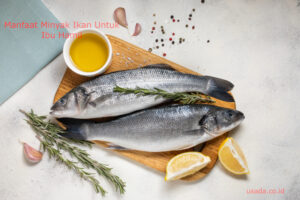 Read more about the article 5 Manfaat Minyak Ikan Untuk Ibu Hamil