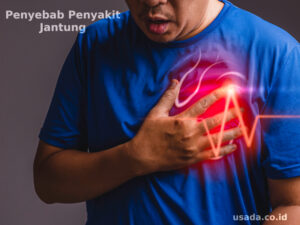 Read more about the article Faktor Penyebab Penyakit Jantung yang Perlu Diketahui